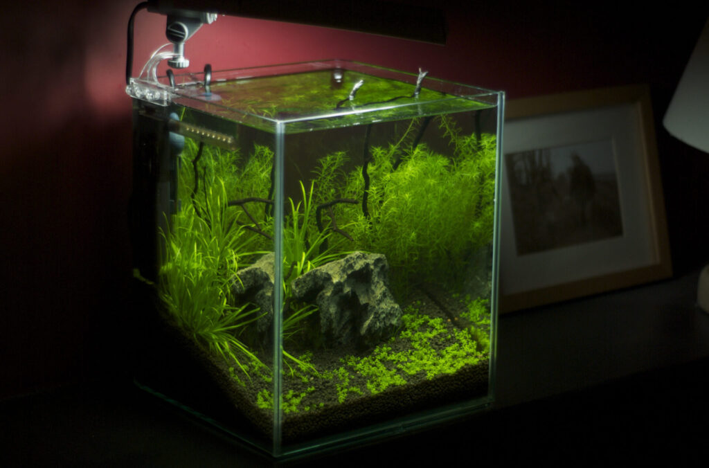 Nano-Aquarium